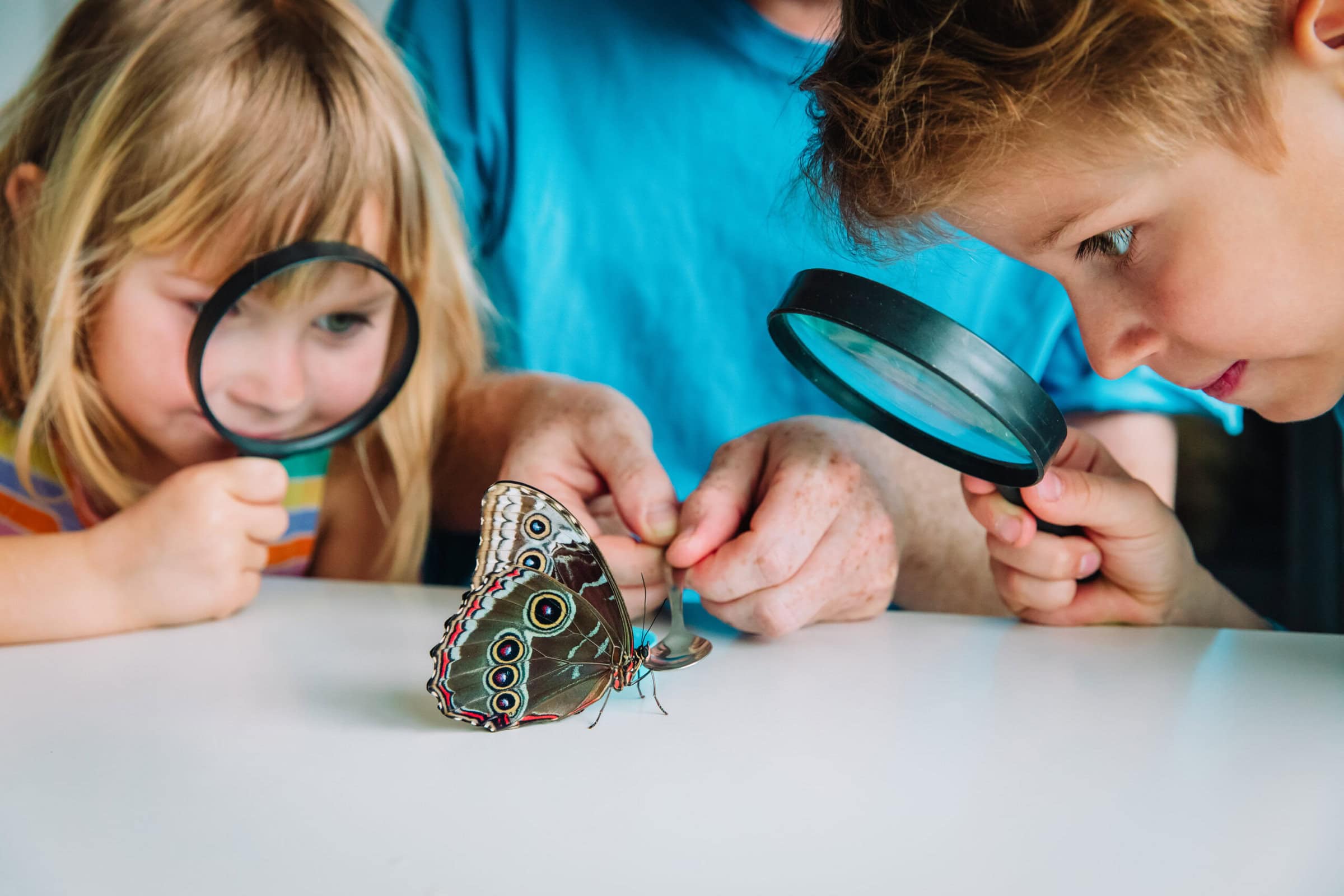 AdobeStock 262724938 scaled