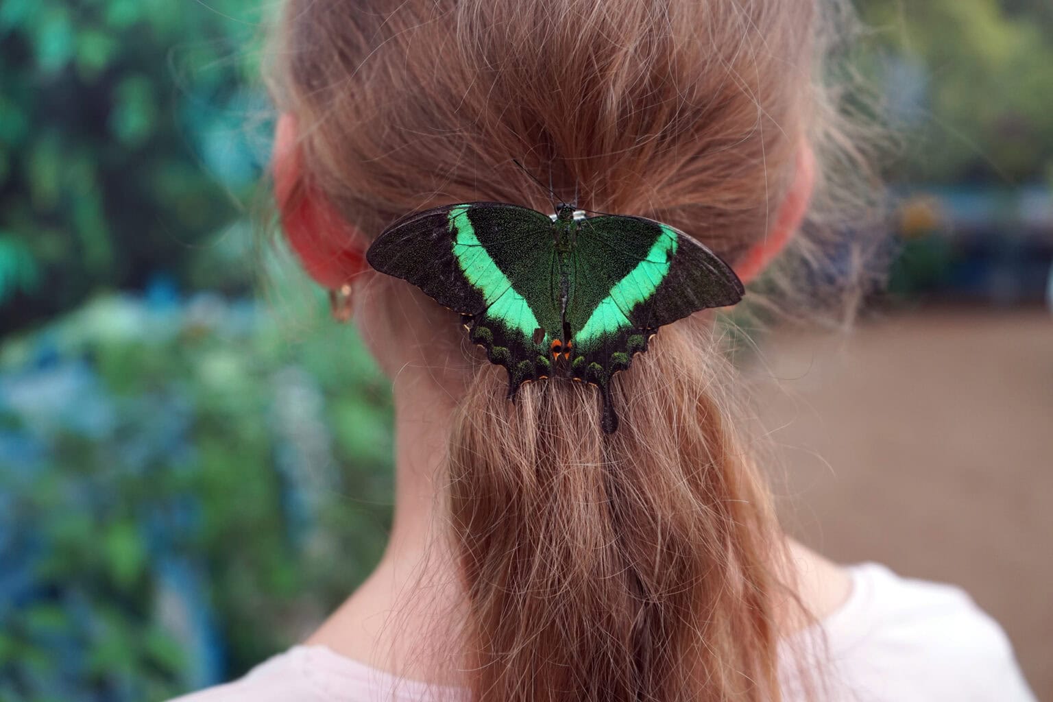 Co warto zobaczyć w Dębkach? Egzotyczna przygoda w białej kopule